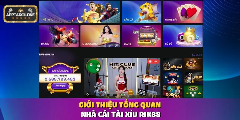 Giới thiệu tổng quan nhà cái Tài Xỉu Rik88